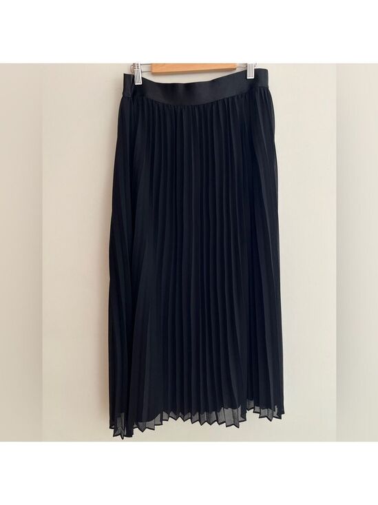 twik Dresses & Skirts - TWIK by Simons Pull On Pleated Lined Maxi Skirt Lightweight Flowy Voile Sheer